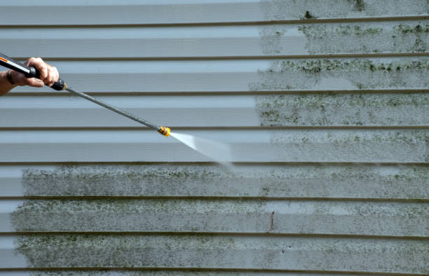 Certified Mold Removal in Spencer, IA