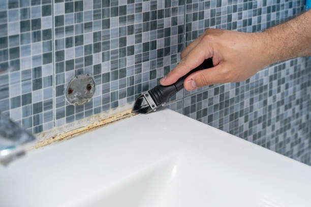 Mold Testing and Removal in Spencer, IA